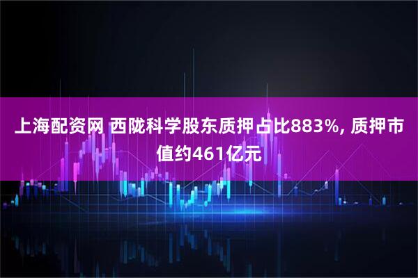 上海配资网 西陇科学股东质押占比883%, 质押市值约461亿元